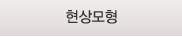 현상모형 